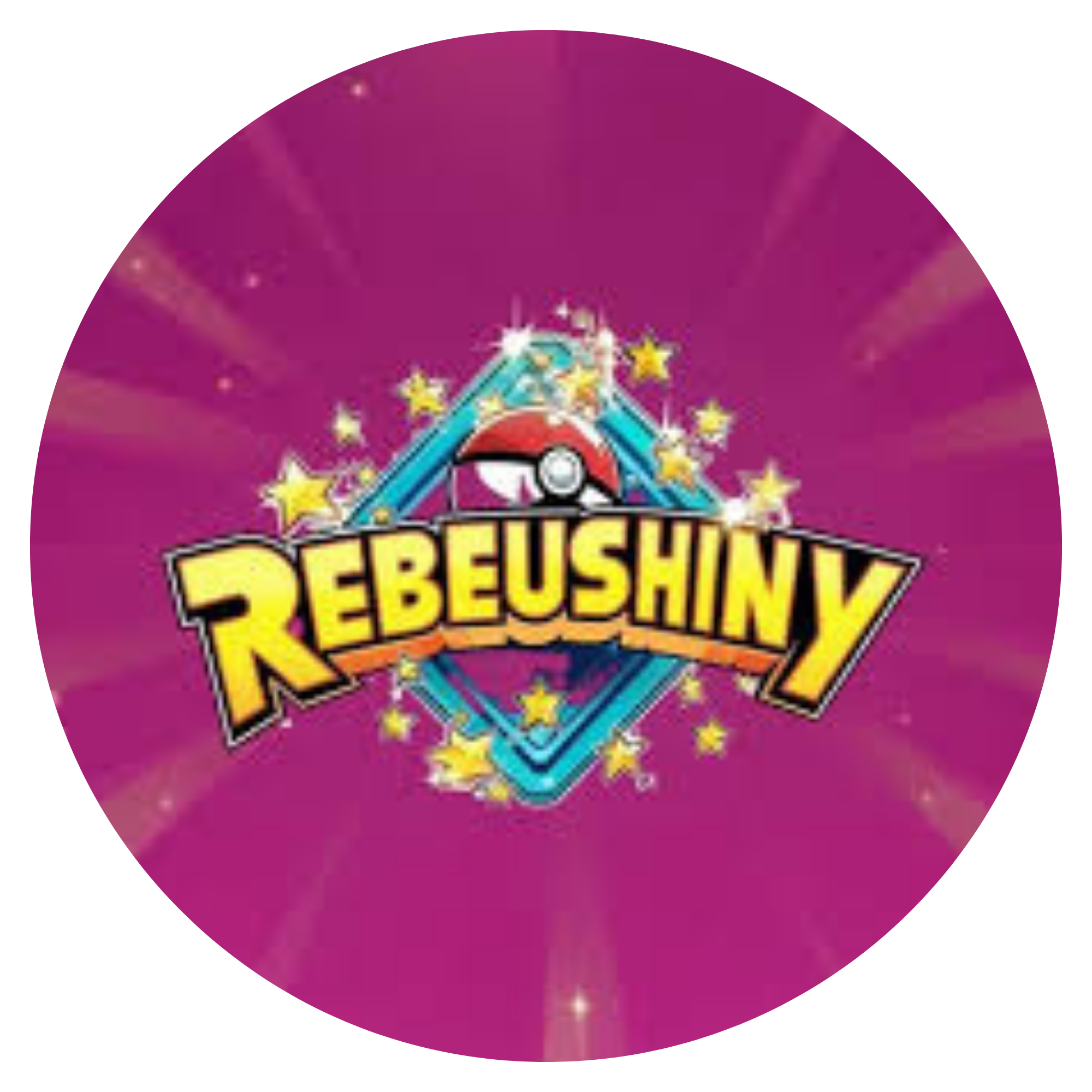 Logo partenaire Rebeu Shiny