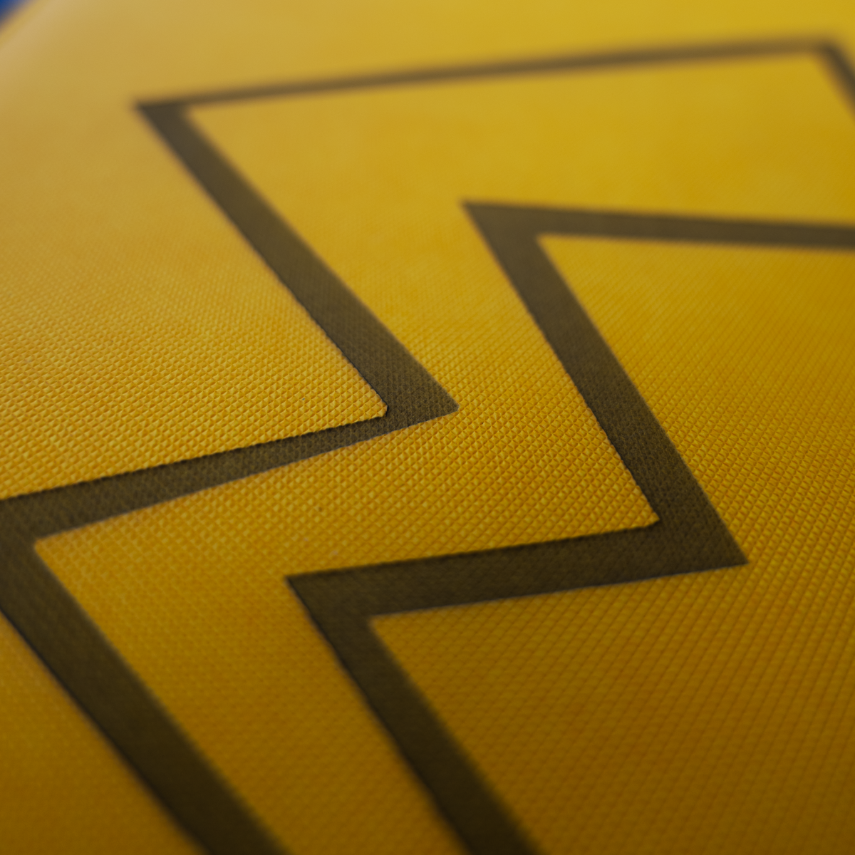 Classeur - Gravure Pikachu