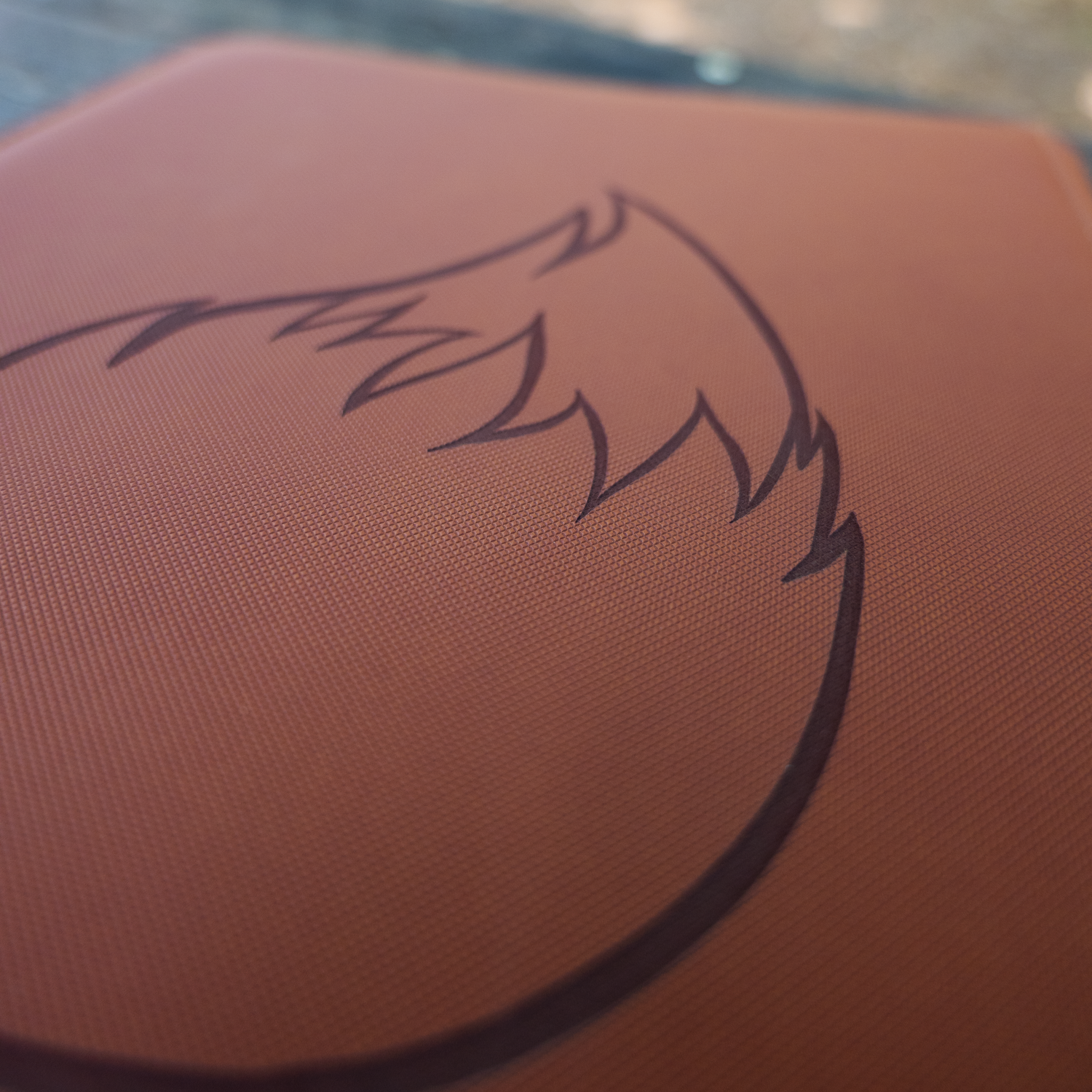 Classeur - Gravure Evoli