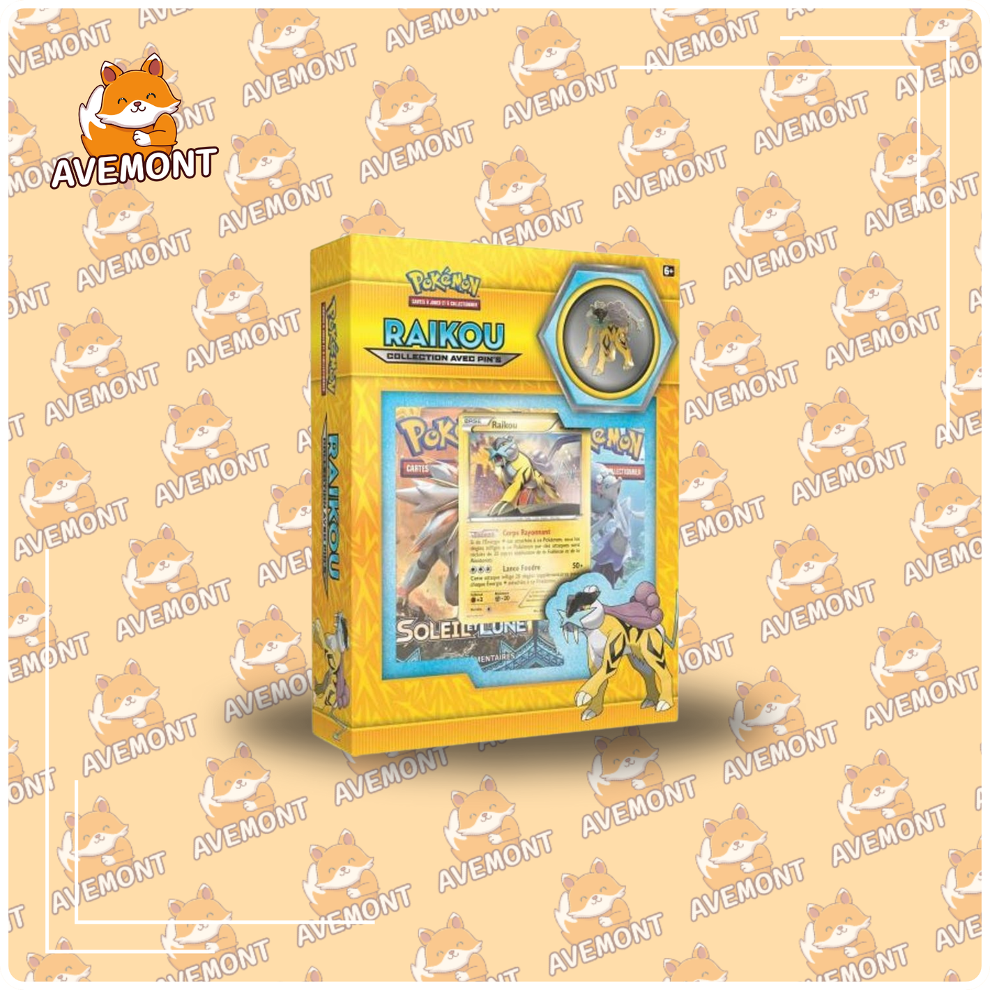 Coffret Pin's - Raikou