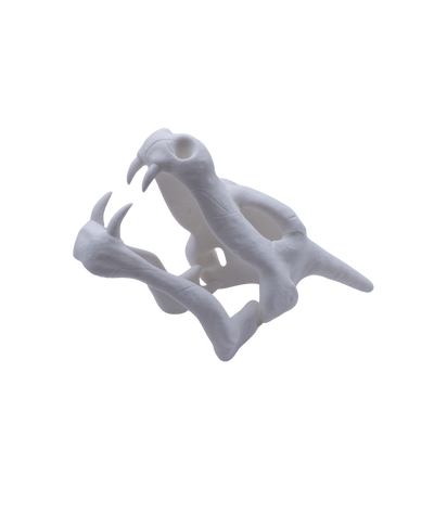 Crâne Dracaufeu