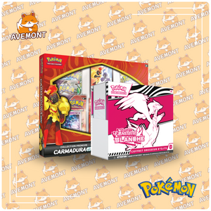 Bundle - Coffret Dresseur D'Élite  & Coffret Carmadura