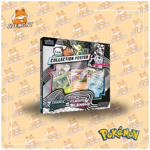 Coffret Poster - Foudre Noire & Flamme Blanche
