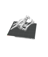 Modèle 3D - Crâne Dracaufeu