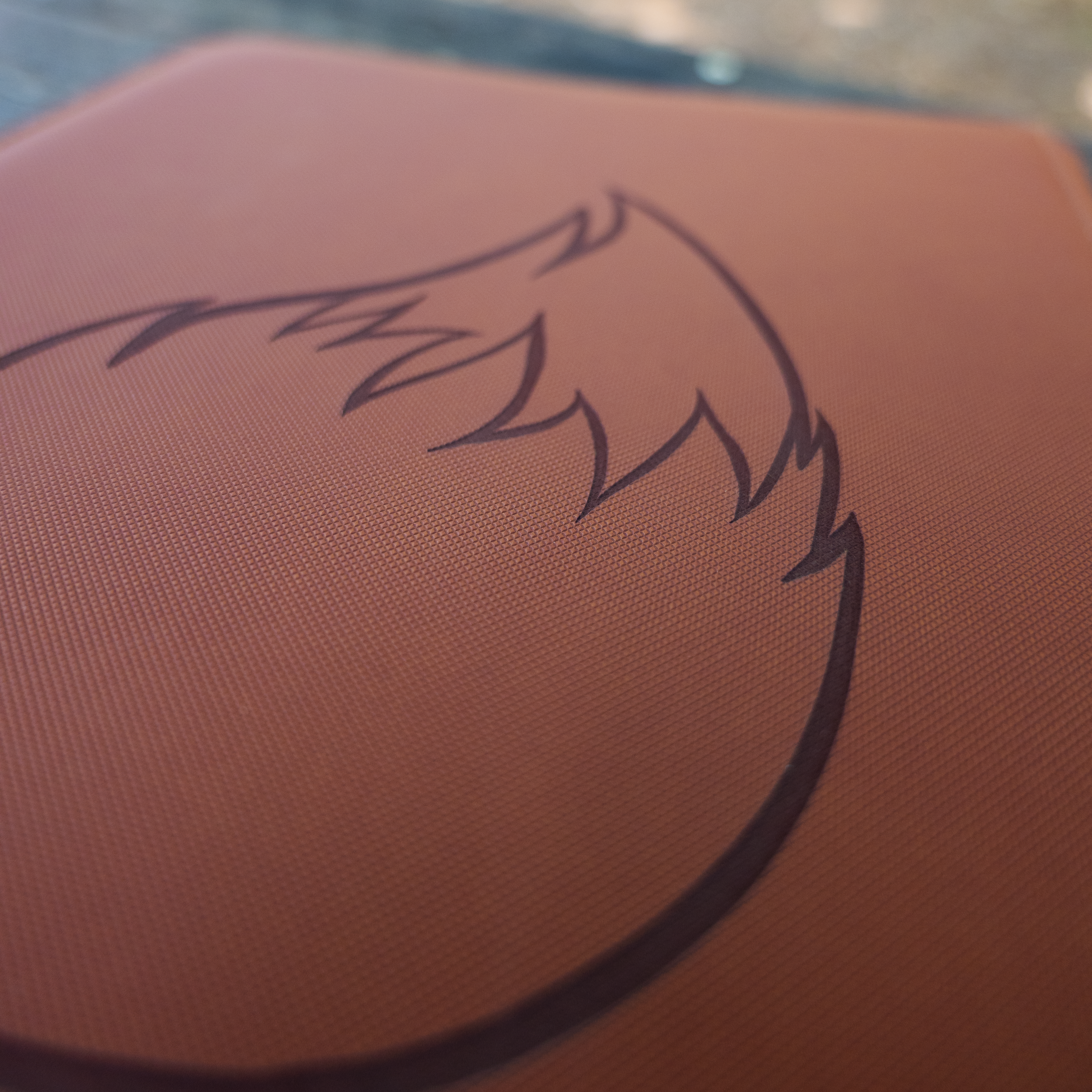 Classeur - Gravure Evoli
