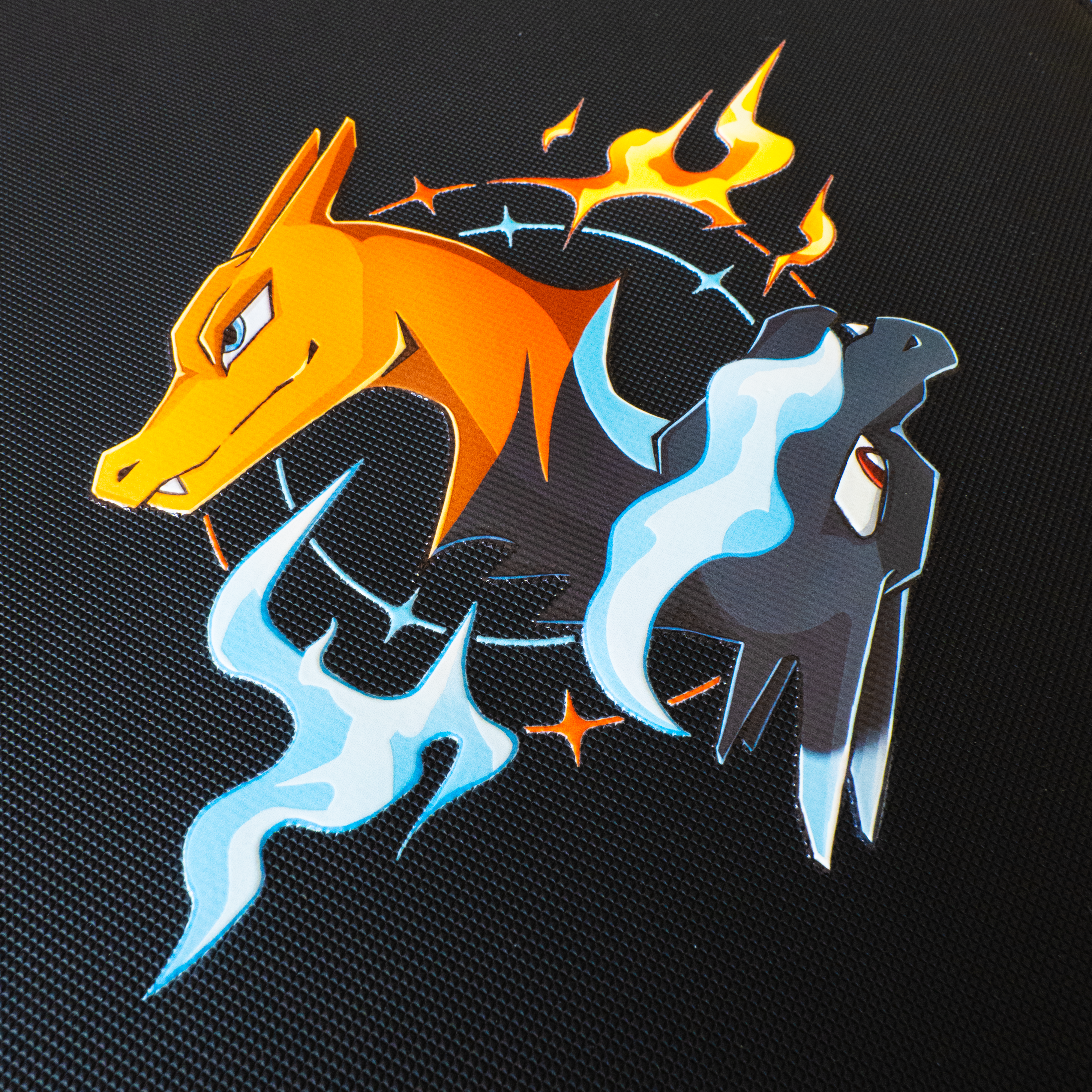 Photo du duo de Dracaufeu du classeur signature MCO Cards chez Avemont